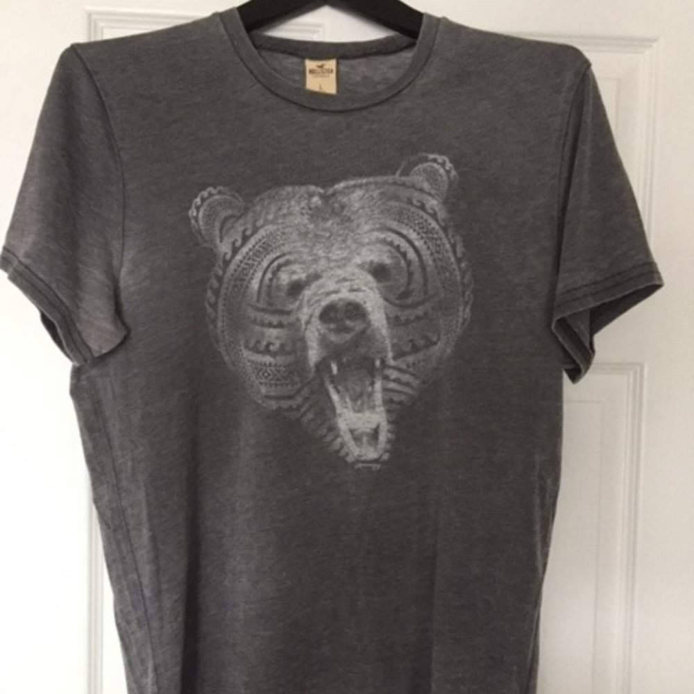 ❌️SOLD❌️Hollister Men's T-Shirt